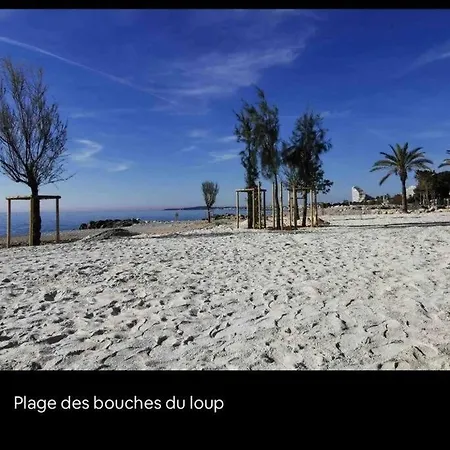 Vue Exceptionnelle Marina Baie Des Anges Villeneuve-Loubet